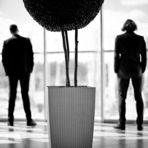 In the image, there are 2 businessmen standing in front of a large window separated by a potted plant in centre frame. It is completely in black and white.