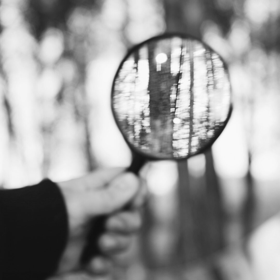 Private Intelligence and Police Intelligence: How to Use Private Intelligence Effectively